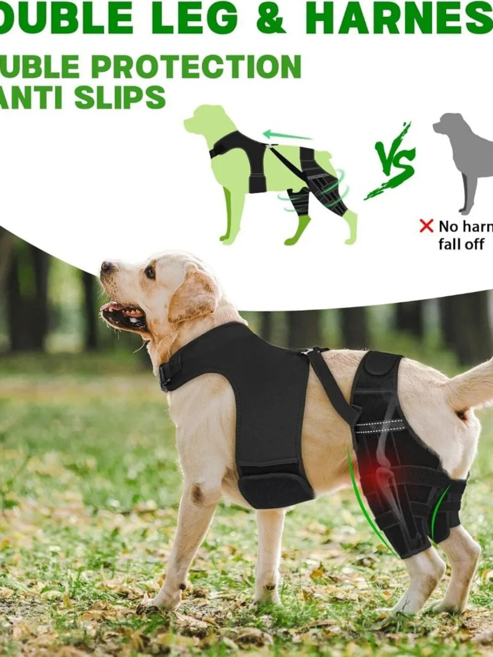 Marnonsis #b4d17 dog